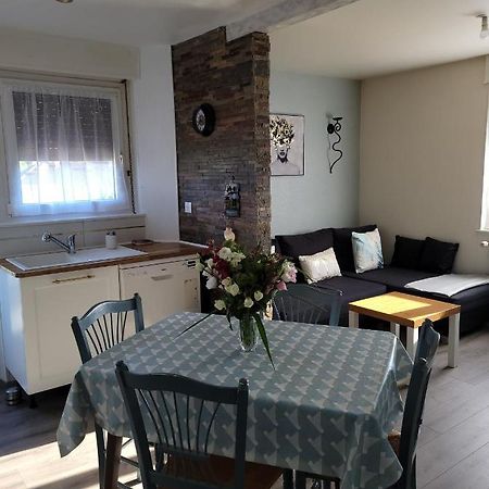 Appartement Au Cigogneau Wifi-Netflix-Balcon-Parking マンステール エクステリア 写真