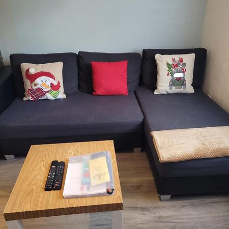 Appartement Au Cigogneau Wifi-Netflix-Balcon-Parking マンステール エクステリア 写真