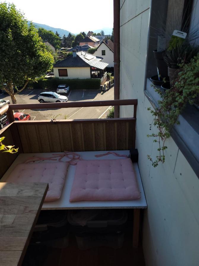 Appartement Au Cigogneau Wifi-Netflix-Balcon-Parking マンステール エクステリア 写真