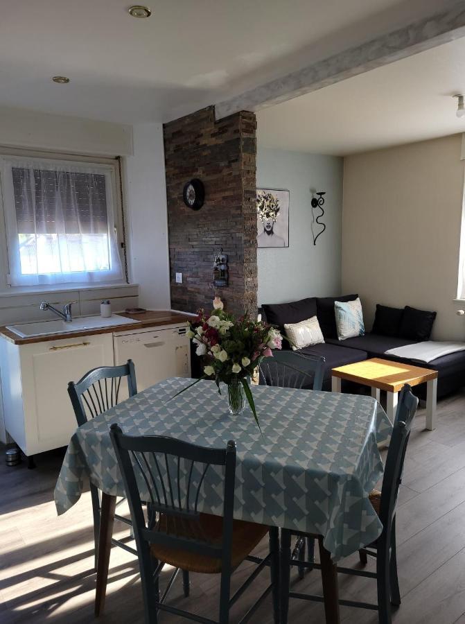 Appartement Au Cigogneau Wifi-Netflix-Balcon-Parking マンステール エクステリア 写真