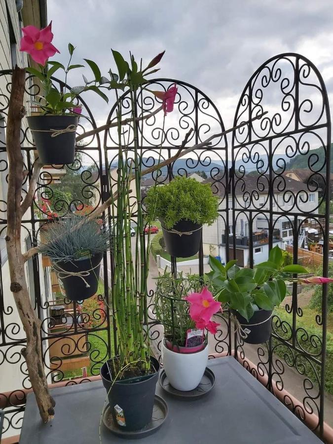 Appartement Au Cigogneau Wifi-Netflix-Balcon-Parking マンステール エクステリア 写真