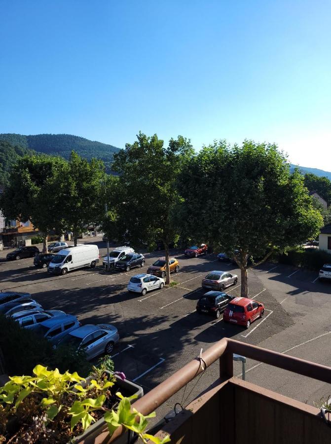 Appartement Au Cigogneau Wifi-Netflix-Balcon-Parking マンステール エクステリア 写真
